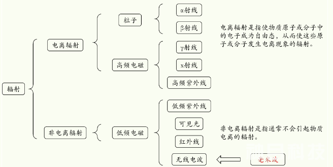 新闻详情